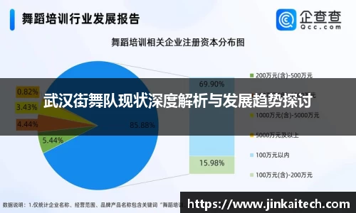 武汉街舞队现状深度解析与发展趋势探讨