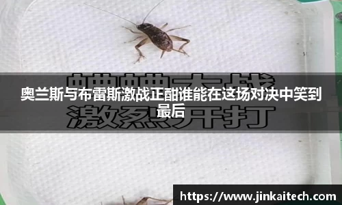 雷竞技raybetapp官网
